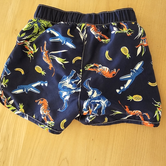 Hanna Andersson boys swim trunks - Picture 2 of 4